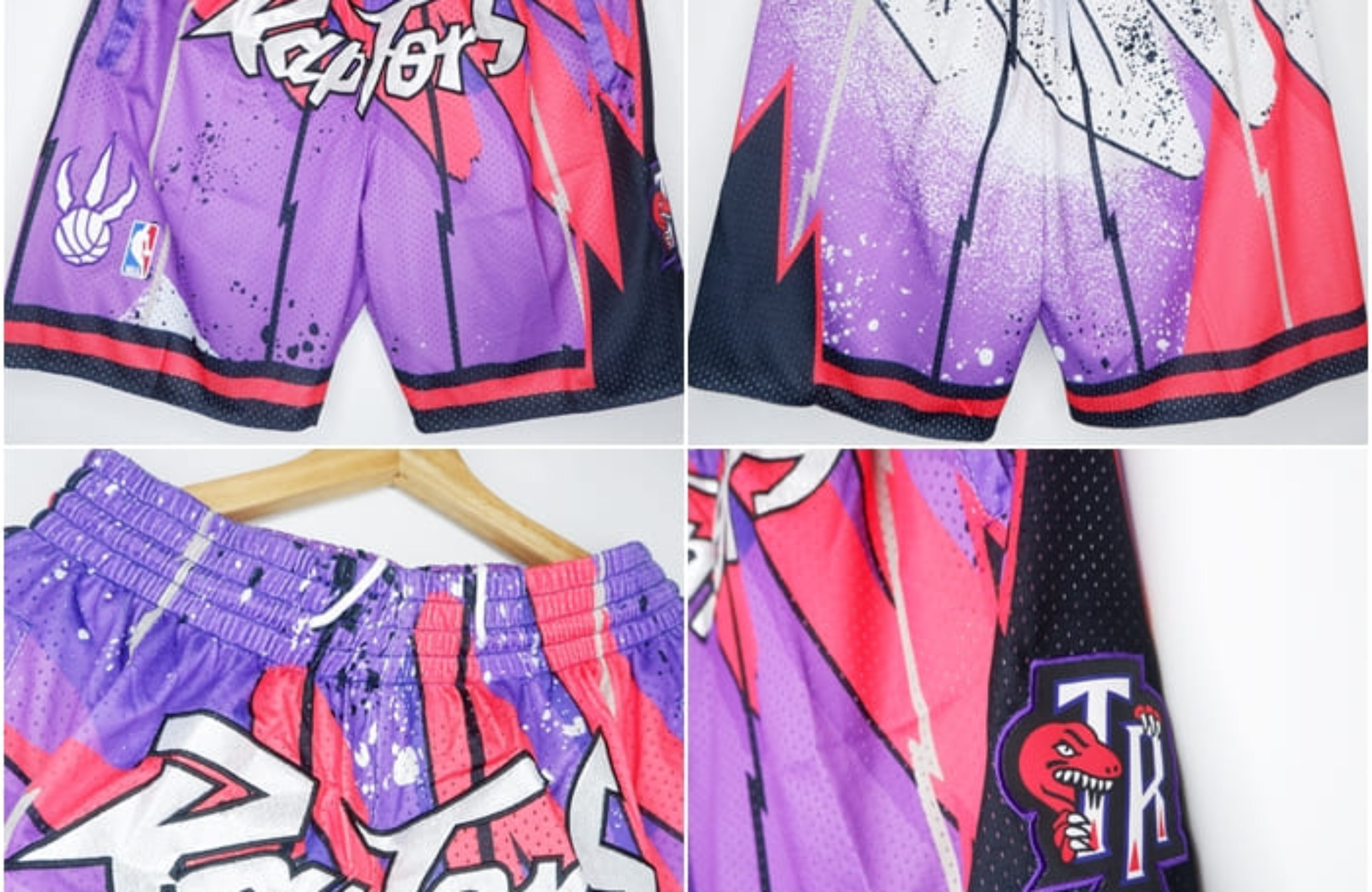 HOOPS RAPTORS UNGU