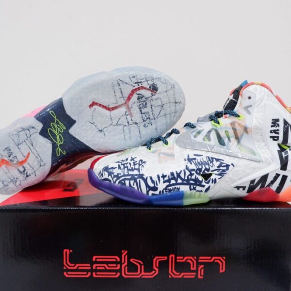 NIKE LEBRON11 HIGH WHAT THE