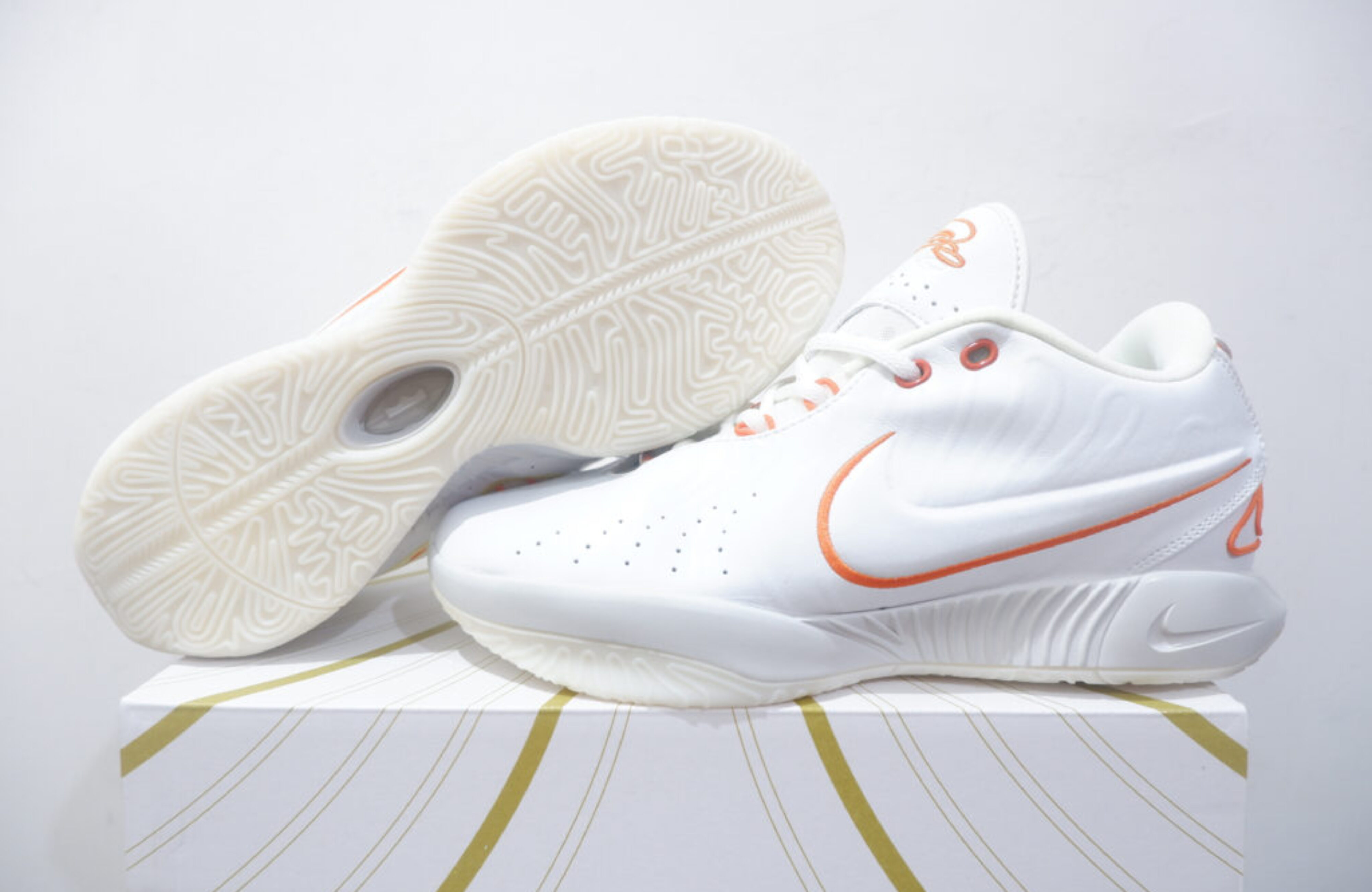 NIKE LEBRON 21 LOW AKOYA